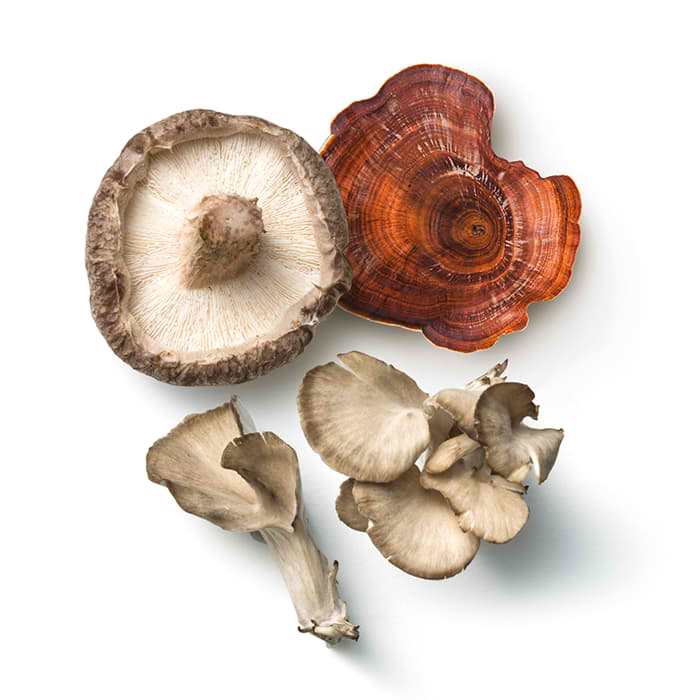 Maitake shiitake y reishi