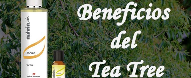 Beneficios del Tea Tree