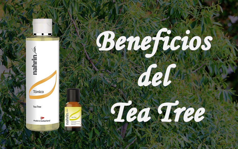 Beneficios del Tea Tree