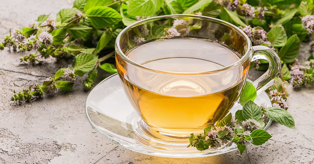 Té de melisa relajante