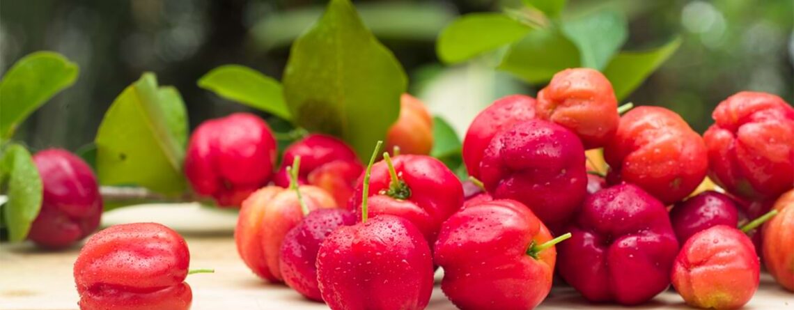 Que es la acerola, características y beneficios