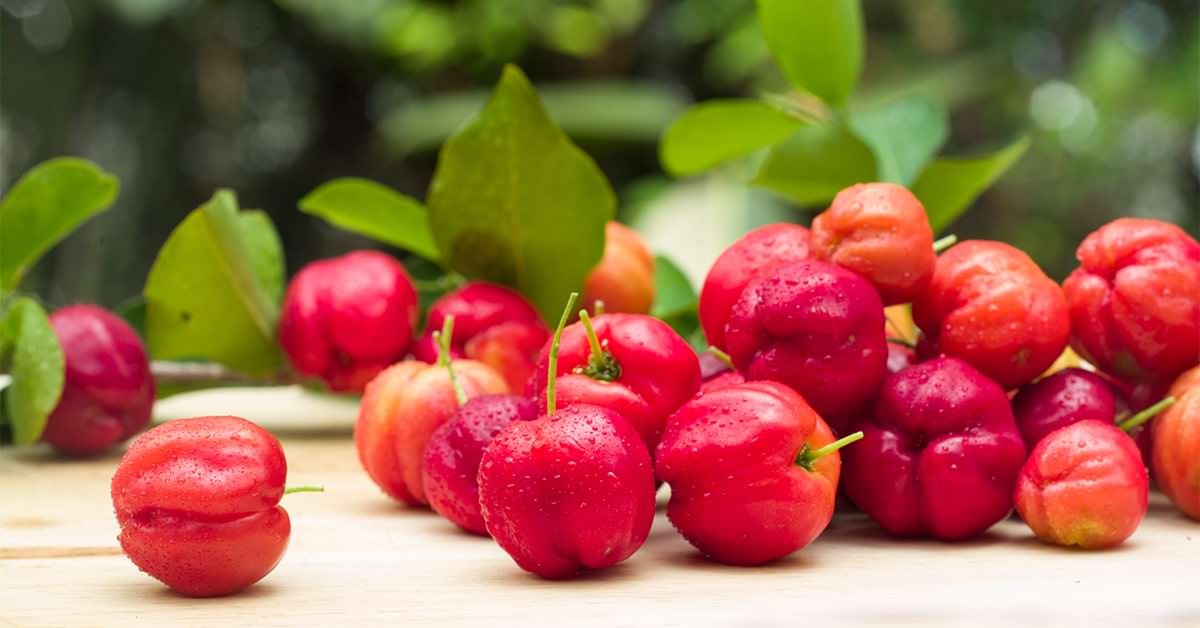 Que es la acerola, características y beneficios