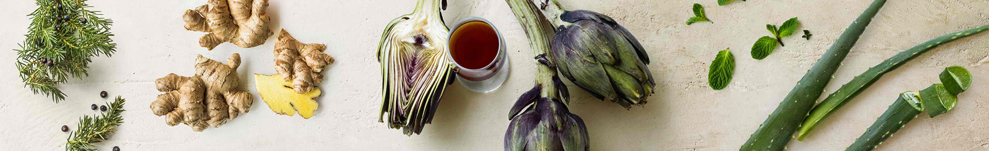 Depurativos y control de peso Nahrin