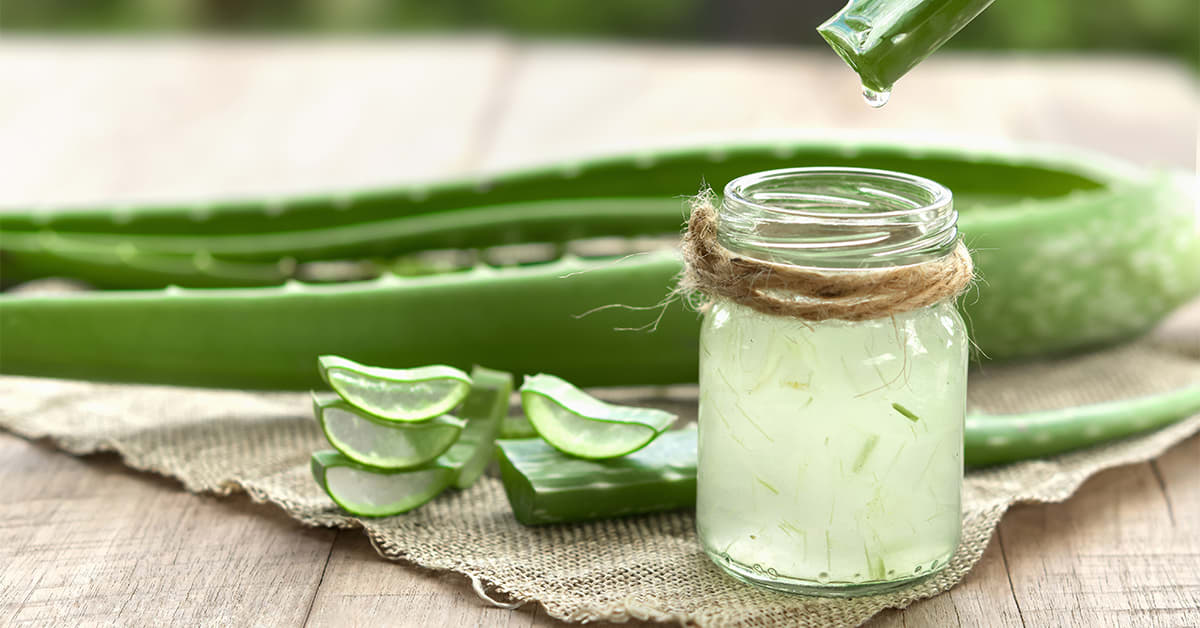 Beneficios del aloe vera para el pelo