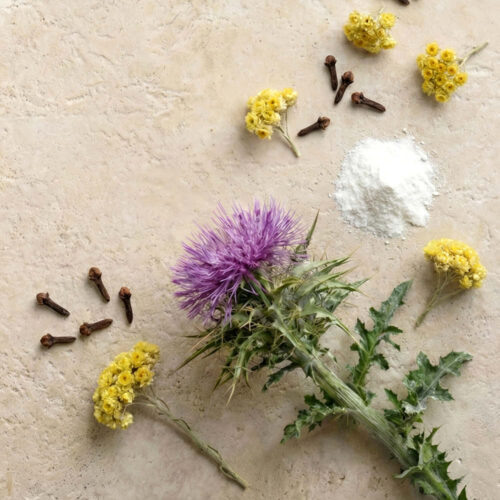 Principios activos del cardo mariano complex