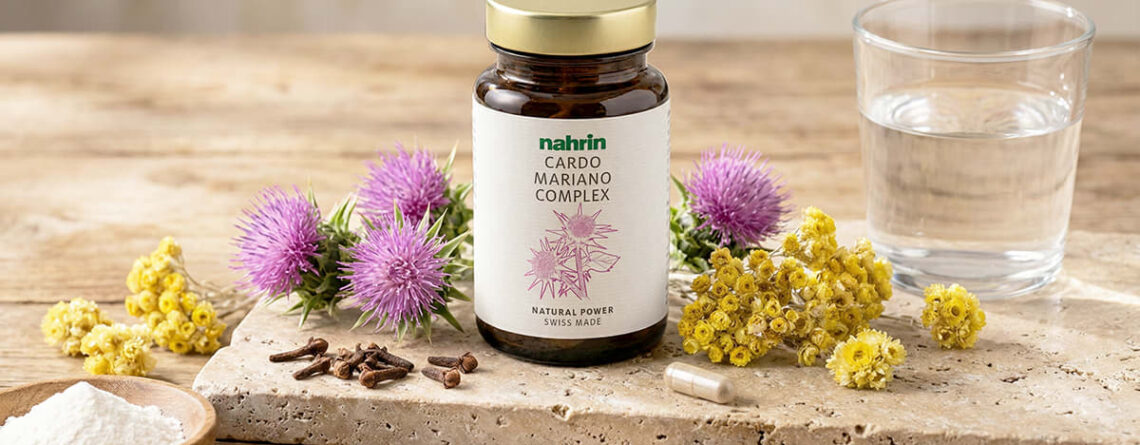 Beneficios del cardo mariano para el hígado
